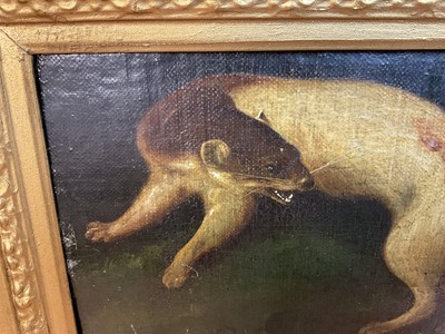 Lot 1040 - Unusual early 19th century oil on canvas laid onto an oak panel, depicting a creature that appears to be half otter and half dog
