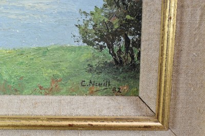 Lot 1144 - Major General Cosmo Nevill (1907-2002) oil on canvas board - Blaven, Skye, signed and dated '82, 31cm x 41cm, in gilt frame