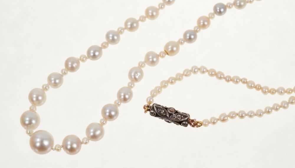 Lot 495 - Natural pearl necklace with a string of 201 graduated natural saltwalter pearls, the largest 6.6mm in width, the smallest 1.7mm in width, on a rose cut diamond barrel clasp. Accompanied by a Pearl...