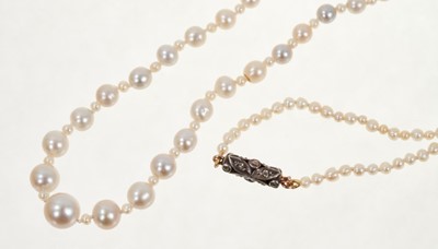 Lot 495 - Natural pearl necklace with a string of 201 graduated natural saltwalter pearls, the largest 6.6mm in width, the smallest 1.7mm in width, on a rose cut diamond barrel clasp. Accompanied by a Pearl...
