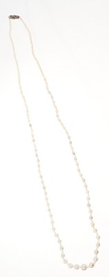 Lot 495 - Natural pearl necklace with a string of 201 graduated natural saltwalter pearls, the largest 6.6mm in width, the smallest 1.7mm in width, on a rose cut diamond barrel clasp. Accompanied by a Pearl...