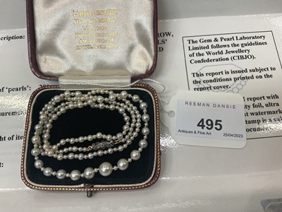 Lot 495 - Natural pearl necklace with a string of 201 graduated natural saltwalter pearls, the largest 6.6mm in width, the smallest 1.7mm in width, on a rose cut diamond barrel clasp. Accompanied by a Pearl...