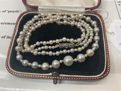 Lot 495 - Natural pearl necklace with a string of 201 graduated natural saltwalter pearls, the largest 6.6mm in width, the smallest 1.7mm in width, on a rose cut diamond barrel clasp. Accompanied by a Pearl...