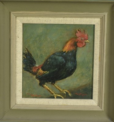 Lot 1030 - Dave Ross, contemporary, oil on board - Old English Game Cock, signed, 19.5cm x 18.5cm, in painted frame