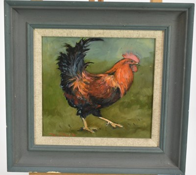 Lot 1031 - Dave Ross, contemporary, oil on board - Welsummer Cock, signed and dated '11, 20.5cm x 22.5cm, in painted frame