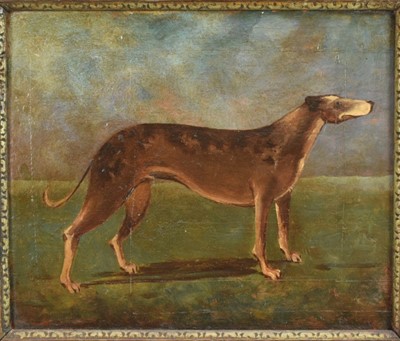 Lot 1032 - East Anglian School, oil on panel - A Longdog, 26cm x 31cm, framed