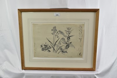 Lot 1284 - *John Northcote Nash (1893-1977) pen and ink - "Wild Flowers, Woodland 2", inscribed in pencil, 24cm x 35cm, Nash stamp verso, in glazed frame