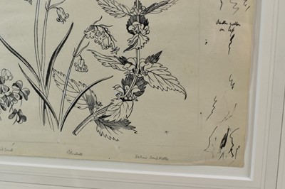 Lot 1284 - *John Northcote Nash (1893-1977) pen and ink - "Wild Flowers, Woodland 2", inscribed in pencil, 24cm x 35cm, Nash stamp verso, in glazed frame