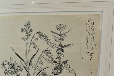 Lot 1284 - *John Northcote Nash (1893-1977) pen and ink - "Wild Flowers, Woodland 2", inscribed in pencil, 24cm x 35cm, Nash stamp verso, in glazed frame