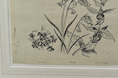 Lot 1284 - *John Northcote Nash (1893-1977) pen and ink - "Wild Flowers, Woodland 2", inscribed in pencil, 24cm x 35cm, Nash stamp verso, in glazed frame