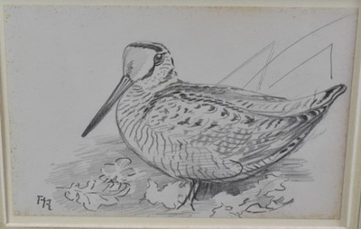 Lot 1037 - Philip Rickman (1891-1982) pencil drawing - Woodcock and Oakleaves, initialled, 11cm x 16.5cm. Provenance: Holland & Holland, together with two other pencil drawings by the same hand, each in glaze...