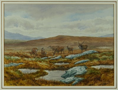 Lot 1010 - Brian Rawling (b.1931) watercolour - Ben Loyal, Sutherland, signed, 38cm x 50cm, in glazed gilt frame 
Provenance: Malcolm Innes Gallery