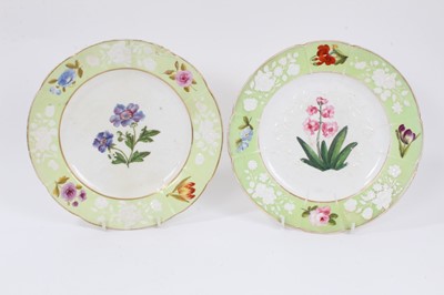 Lot 436 - Pair of Coalport plates, painted with flowers, on a bright green ground, circa 1820