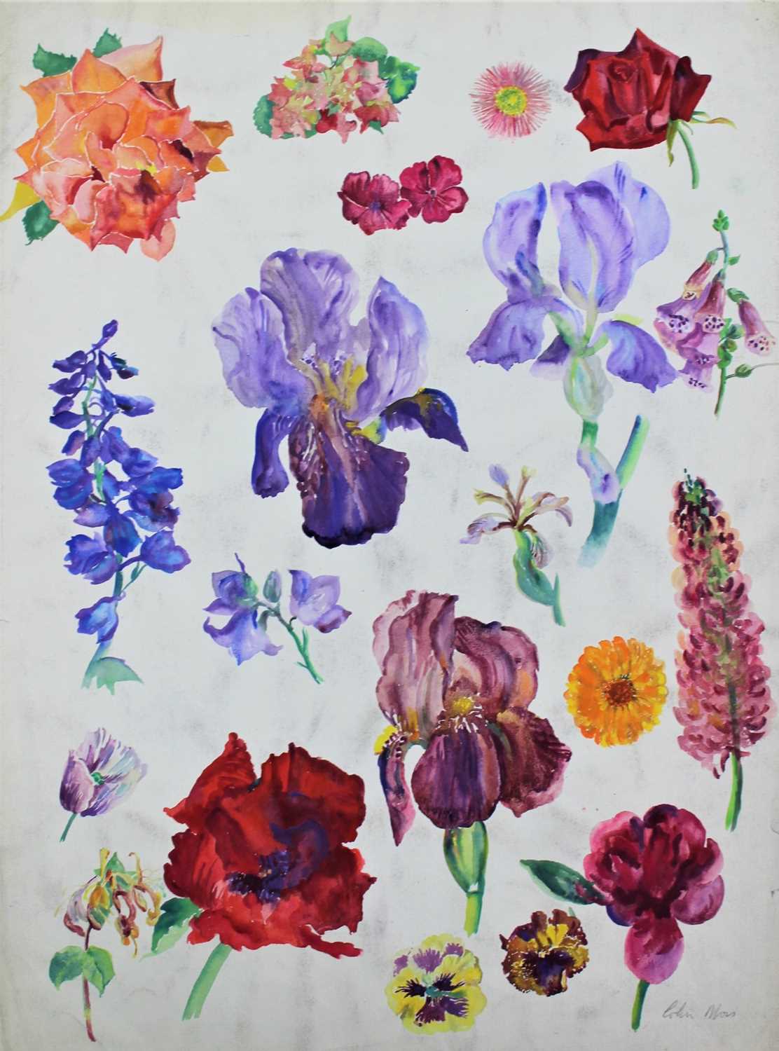 Lot 1308 - *Colin Moss (1914-2005) watercolour, summer flowers, signed, 75 x 55cm