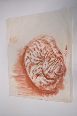 Lot 1313 - *Colin Moss (1914-2005) Indian ink, Sleeping cat, signed 33 x 39cm, together with seven further studies of cats and other animals by Colin Moss