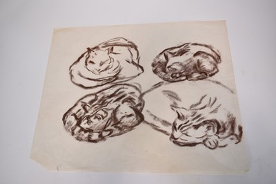 Lot 1313 - *Colin Moss (1914-2005) Indian ink, Sleeping cat, signed 33 x 39cm, together with seven further studies of cats and other animals by Colin Moss