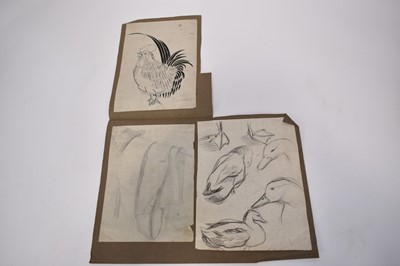 Lot 1313 - *Colin Moss (1914-2005) Indian ink, Sleeping cat, signed 33 x 39cm, together with seven further studies of cats and other animals by Colin Moss