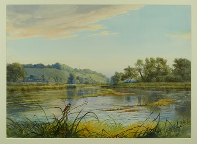 Lot 797 - *John Cyril Harrison (1898-1985) watercolour - Reed Bunting on the Test, signed, 55cm x 76cm, in glazed frame  
Provenance: The Wildlife Art Gallery, Lavenham