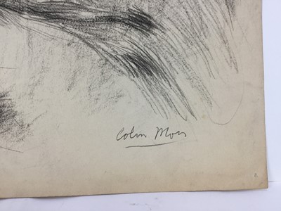 Lot 21 - Colin Moss (1914-2005) pencil, Orangutan and baby, signed, 75 x 54cm