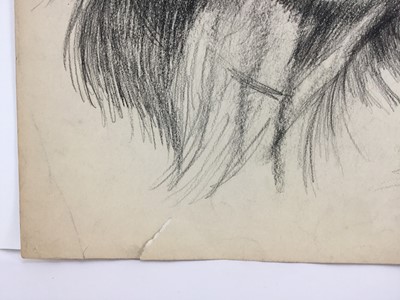 Lot 21 - Colin Moss (1914-2005) pencil, Orangutan and baby, signed, 75 x 54cm