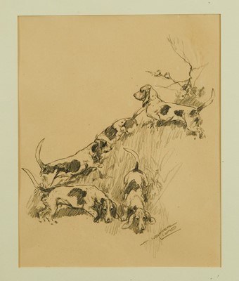 Lot 801 - Thomas Ivester Lloyd (1873-1942) pencil illustration, Basset Hounds, signed, 27cm x 21cm, in glazed frame, together with the realted book 'Hounds'