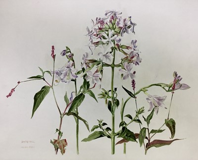 Lot 92 - David Hill (1914-1977), watercolour, floral study, signed and dated '73, 41 x 48cm, together with a collection of botanical studies in a variety of media. (20)