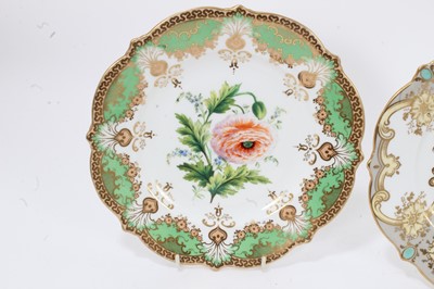 Lot 28 - Three good quality Regency porcelain plates decorated with botanical specimens