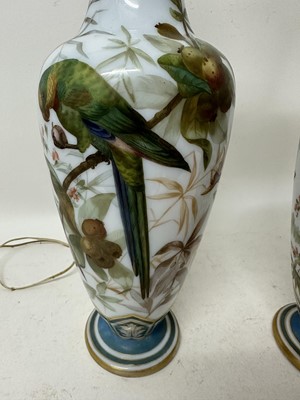 Lot 1058 - Pair of 19th century painted bohemian milk glass vases, presented as lamps, painted with exotic birds. vases 50cm high