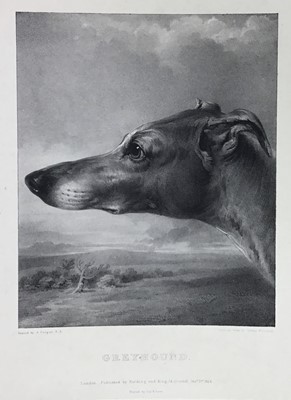 Lot 790 - The Sportsman’s Kennel - British Sporting Dogs, engravings after Cooper and Landseer