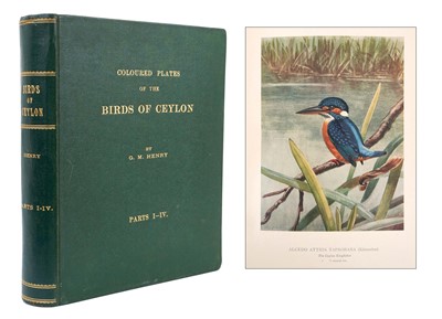 Lot 711 - George Morrison Henry - Coloured plates of the Birds of Ceylon, text Walter Ernest Wait, Ceylon Government, 1927-35, 1st edition, 4 parts in one, 64 coloured plates, 4to, green tooled cloth