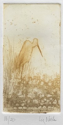Lot 168 - Liz Nash, 20th century. Two linocuts, sea birds. Signed and numbered to margins. Framed. Overall including frame 31x27cm and 31x31cm