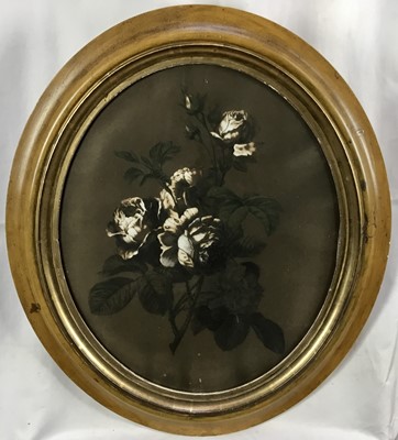 Lot 269 - Pair of Victorian English School chalk botanical works, 44cm x 36cm, in oval gilt frames