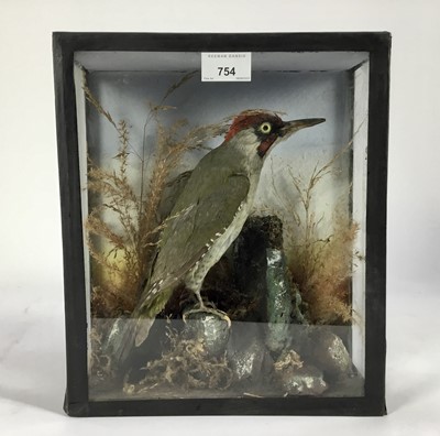 Lot 754 - Green Woodpecker on perch within a naturalistic setting in glazed case, 30.5cm x 26cm