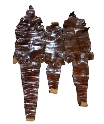 Lot 770 - Three crocodile skins, graduating in size, 172cm x 42cm, 145cm x 38cm, 127cm x 32cm