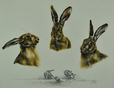 Lot 860 - Ann Seward, contemporary, watercolour and pencil - Hare portraits, signed and dated '83, 40.5cm x 51.5cm, in glazed gilt frame