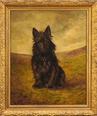 Lot 809 - English School, early 20th century, oil on canvas - portrait of a Scottie, Hamish, aged 4, 61cm x 51cm, in gilt frame