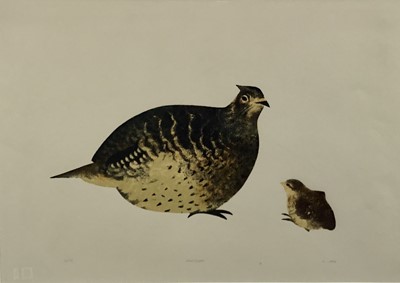 Lot 71 - R Lark, Contemporary School. Coloured lithograph, blind stamped lower left, signed, numbered and titled “Partrige” to margin. Framed. 44x62cm