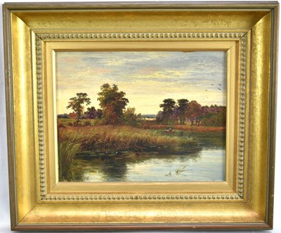 Lot 926 - Mark Edwin Dockree, (act.c.1856-c.1901) pair of oils on board - Barton Broad and Roxham Broad, Norfolk, signed and inscribed verso, 22cm x 28cm, in gilt frames