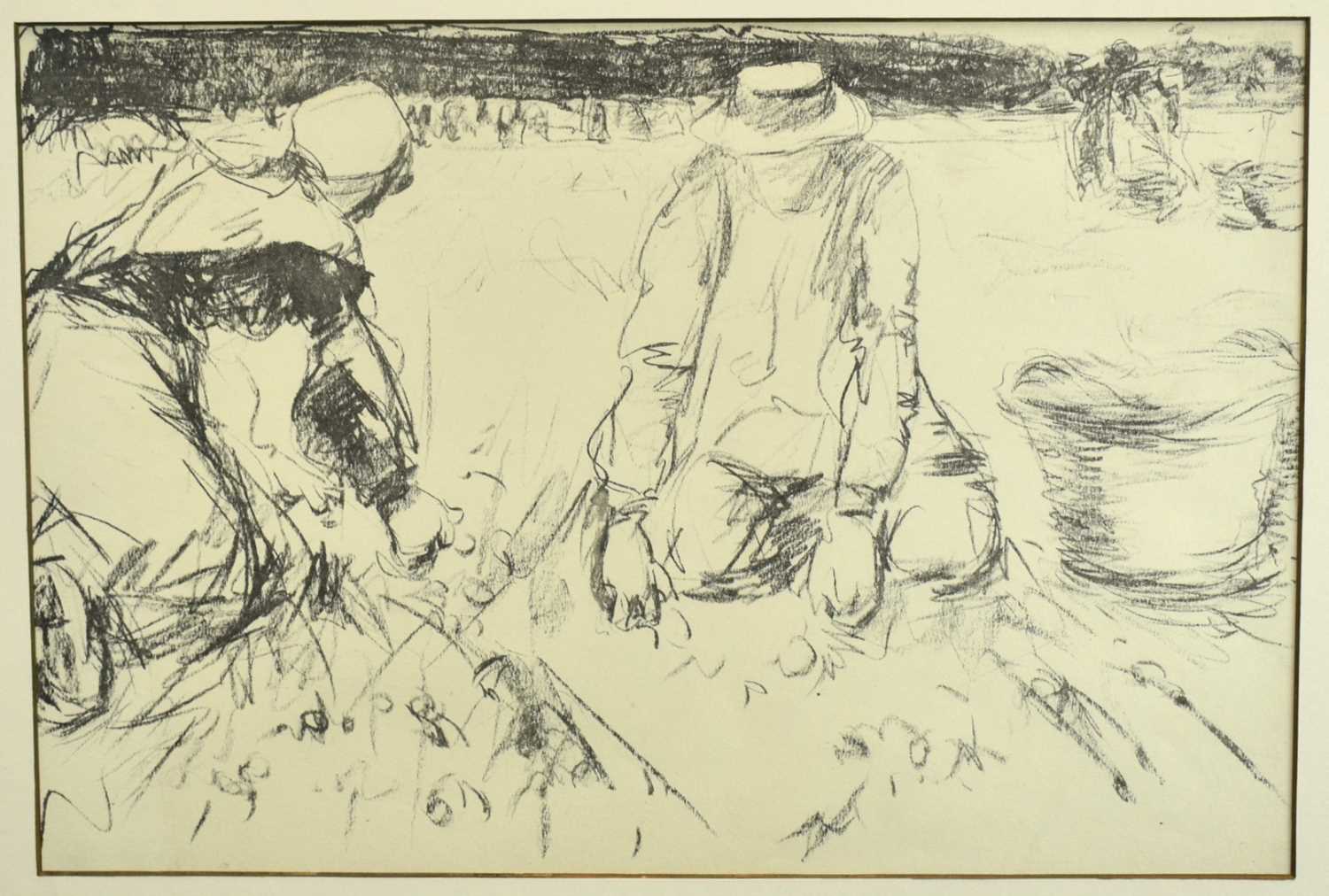 Lot 816 - Harry Becker (1865-1928) black and white lithograph - Gathering Potatoes, Holland, 36.5cm x 55cm, in glazed frame