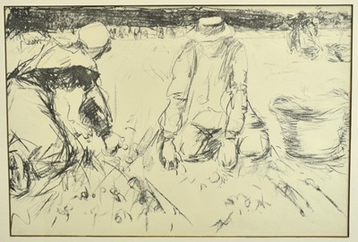 Lot 816 - Harry Becker (1865-1928) black and white lithograph - Gathering Potatoes, Holland, 36.5cm x 55cm, in glazed frame