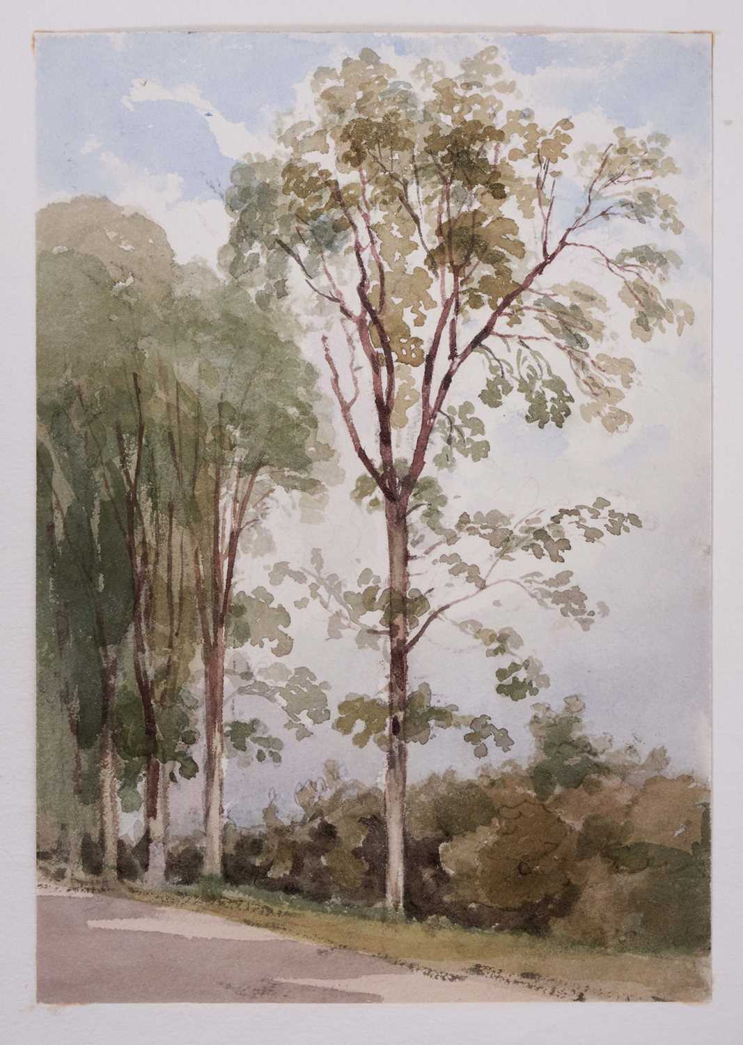 Lot 968 - Thomas Churchyard (1798-1865) watercolour - Rural Lane, 17.5cm x 12cm, sheet 22.5cm x 36.5cm