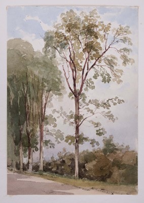 Lot 968 - Thomas Churchyard (1798-1865) watercolour - Rural Lane, 17.5cm x 12cm, sheet 22.5cm x 36.5cm