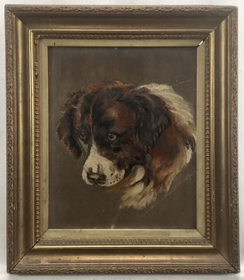 Lot 256 - Late Victorian oil on card - dogs head, 27cm x 22cm, framed