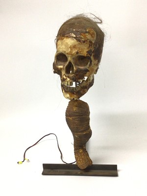 Lot 15 - A mechanical skull