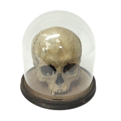 Lot 27 - Alas, poor Yorick!