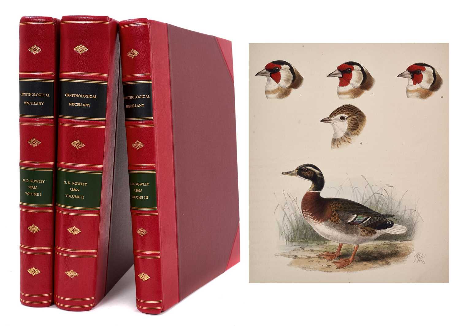 Lot 1571 - George Dawson Rowley (editor) - Ornithological miscellany, 1875-8