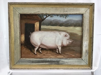 Lot 26 - Continental School 20th century oil on canvas laid on wood board, A Prize Pig in a Sty
