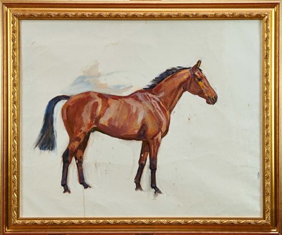 Lot 1285 - *Peter Biegel (1913-1987) oil on canvas - study of a bay hunter, 45cm x 55cm, in gilt frame 
Provenance: The artist's studio and thence by family descent