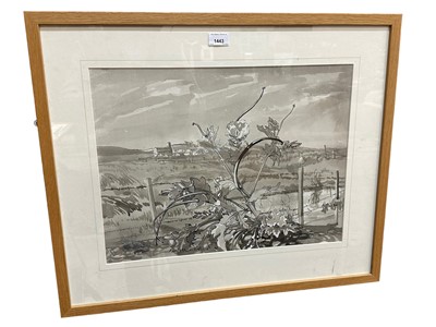 Lot 1443 - *Mary Millar Watt (1924-2023) pen and monochrome wash, Yellow horned poppy, Salthouse, Norfolk, 38 x 49cm, glazed frame