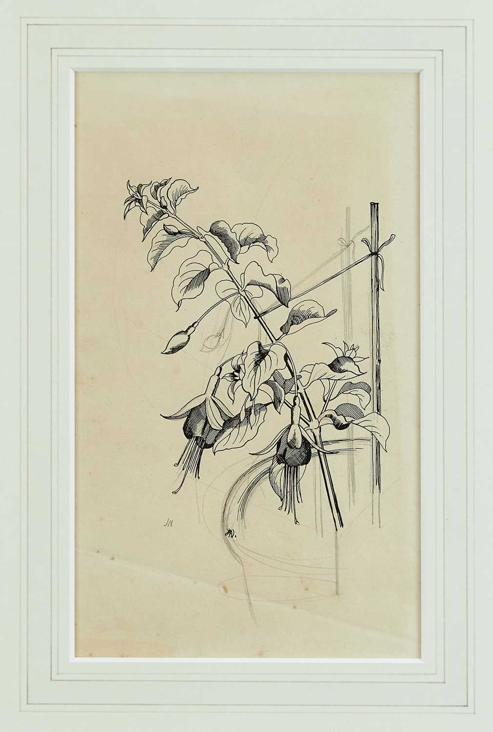 Lot 1376 - *John Nash (1893-1977) pencil and ink drawing - "Fuschia"
Provenance: The Nash Estate